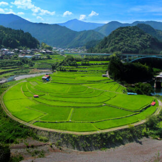 現在の画像: あらぎ島