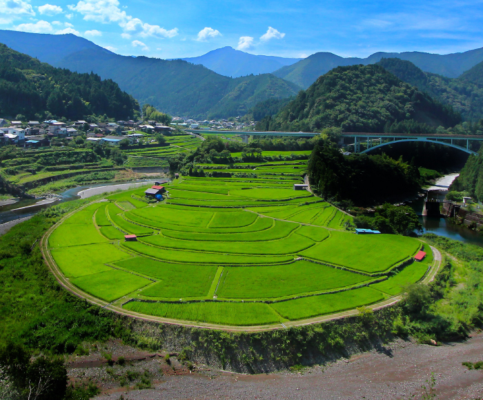 あらぎ島